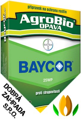 Baycor 25 WP - 2x5 g